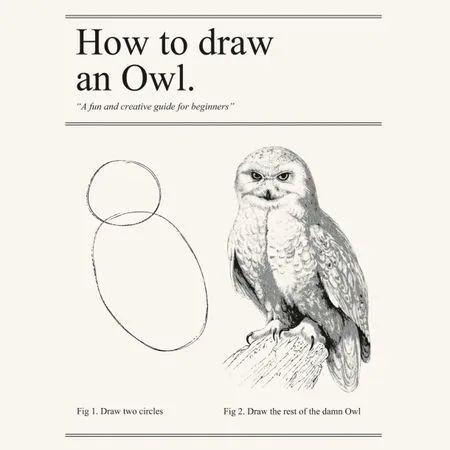 How to draw an Owl in two simple steps